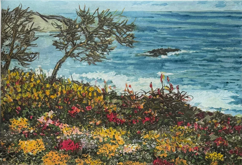 Ets Cascella - Costa del Pacifico