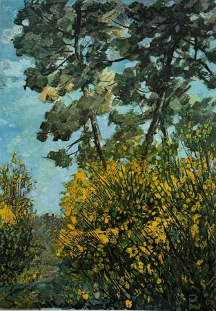 Ets Cascella - Ginestre presso Siena