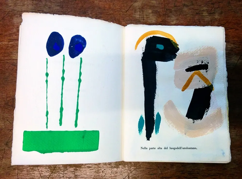 Geïllustreerd Boek Cascella - Il Magocostruttordivoli