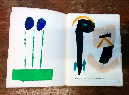 Geïllustreerd Boek Cascella - Il Magocostruttordivoli