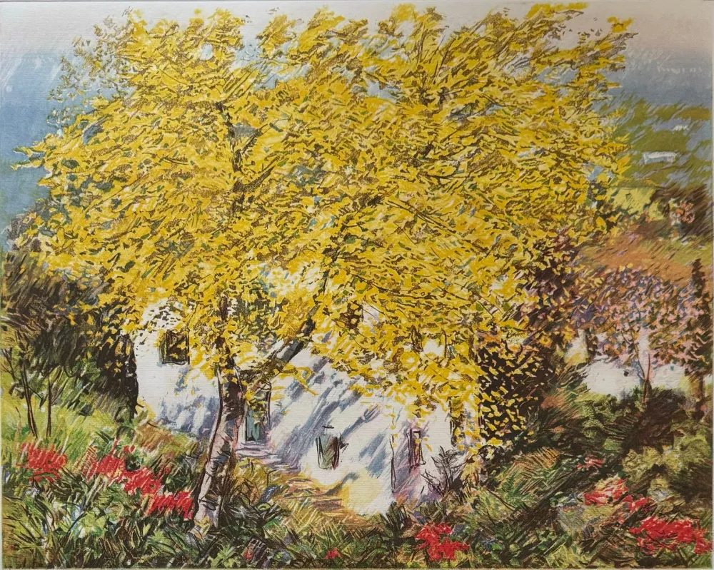 Ets Cascella - Natura