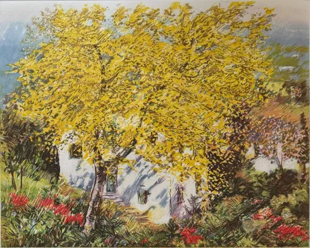 Ets Cascella - Natura