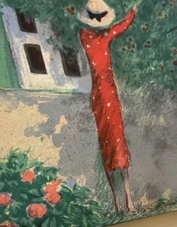 Geïllustreerd Boek Cassigneul  - CASSIGNEUL