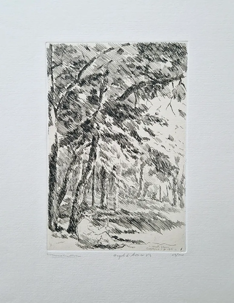 Ets Castellani - Angolo di bosco