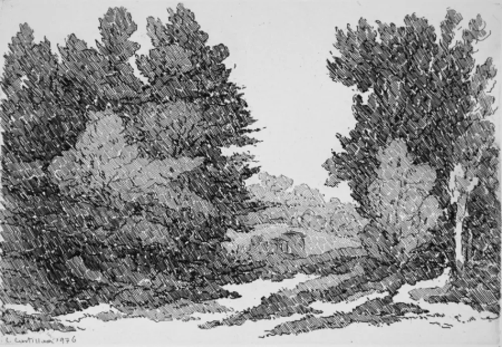 Ets Castellani - La strada del cantoniere