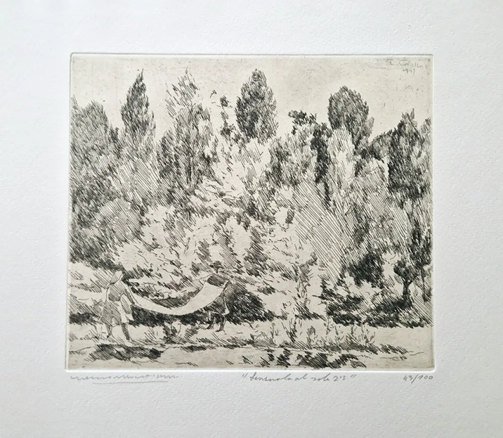 Ets Castellani - Lenzuola al sole