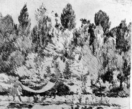 Ets Castellani - Lenzuola al sole