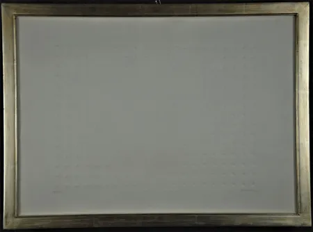 Reliëf Castellani - Superficie bianca