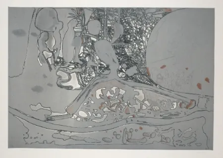 Ets En Aquatint Castillo - Jardin de invierno 2