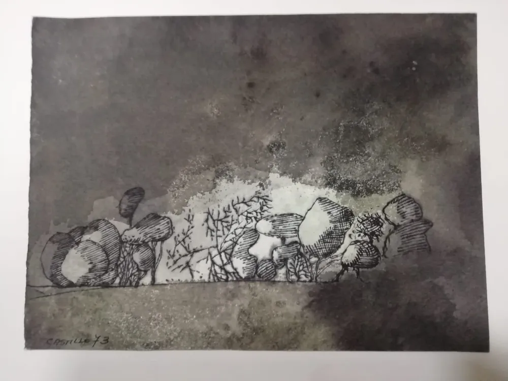 Geen Techniek Castillo - Vista de Grünewald