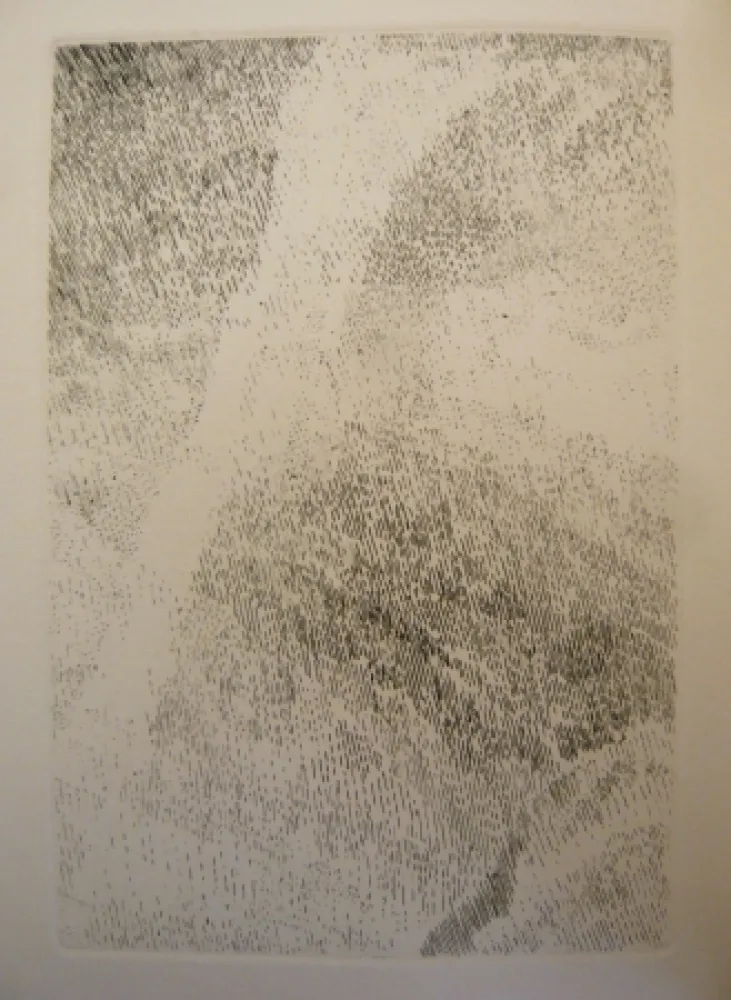 Geïllustreerd Boek Celan Lestrange - Protocole