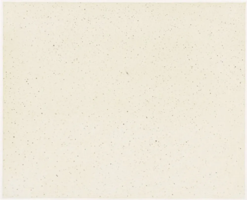 Multiple Celmins - Night Sky 1 ( Reversed )