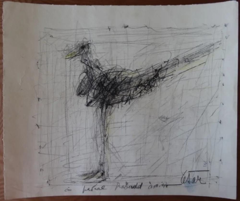 Geen Techniek Cesar - La poule