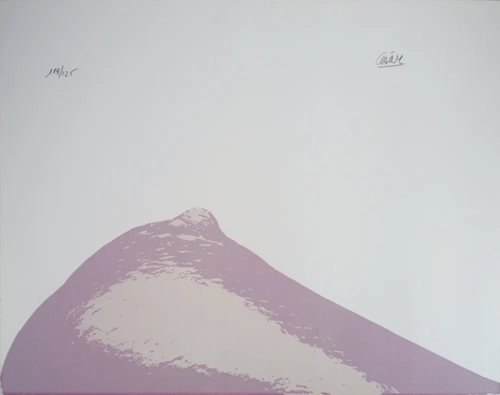 Lithografie Cesar - Le Sein