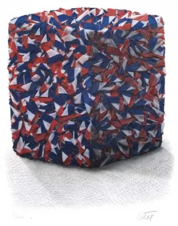 Zeefdruk Cesar - Portrait comp. drapeaux Français