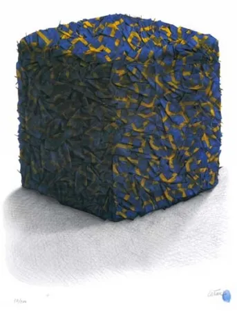 Zeefdruk Cesar - Portrait comp. drapeaux Suédois