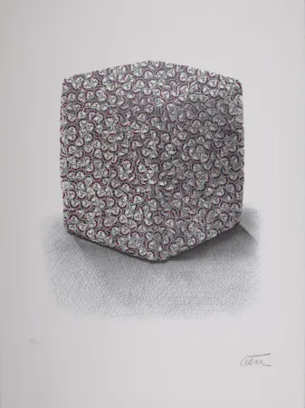 Zeefdruk Cesar - Portrait de Compression, C. 1980-1985