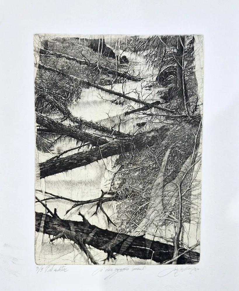 Ets Ceschin - Là dove sgorgano torrenti