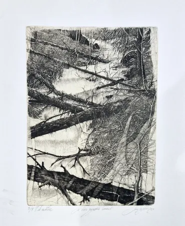 Ets Ceschin - Là dove sgorgano torrenti