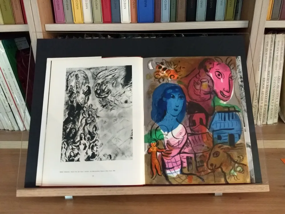Geïllustreerd Boek Chagall - Hommage