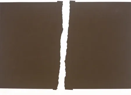 Zeefdruk Chancho - S/T