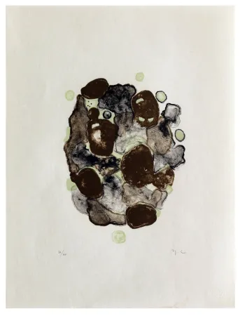 Lithografie Chaudouët - Lichens 2