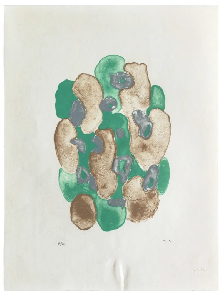 Lithografie Chaudouët - Lichens 3