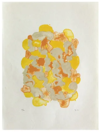 Lithografie Chaudouët - Lichens 7