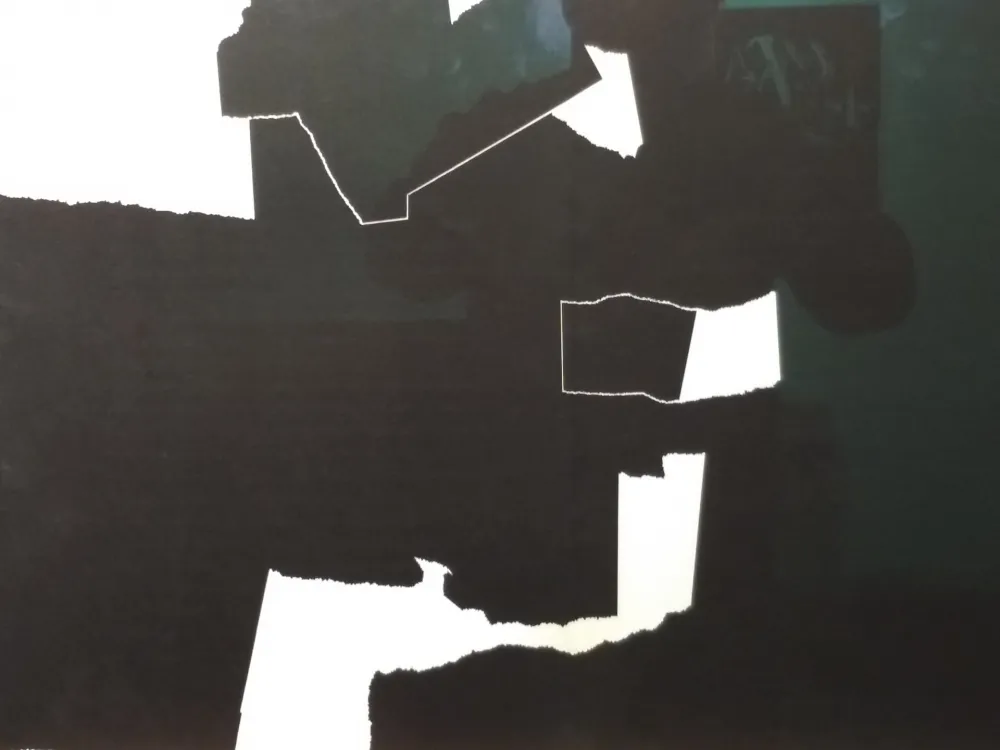 Geïllustreerd Boek Chillida - DLM 124