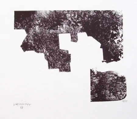 Lithografie Chillida - Sapai