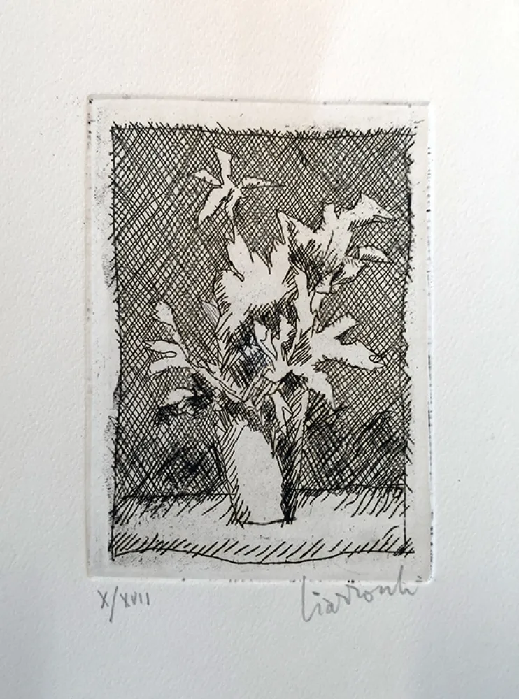 Ets Ciarrocchi - Fiori