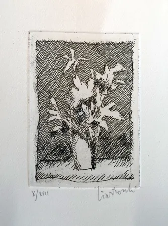 Ets Ciarrocchi - Fiori