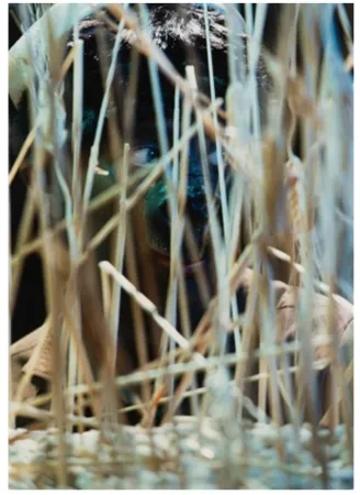 Fotografie Cindy - Untitled (from The Portfolio for Joseph Beuys)