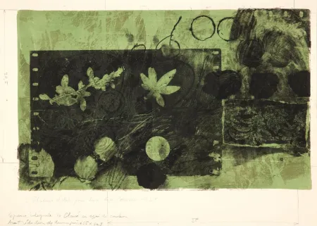 Lithografie Clavé - Feuille verte