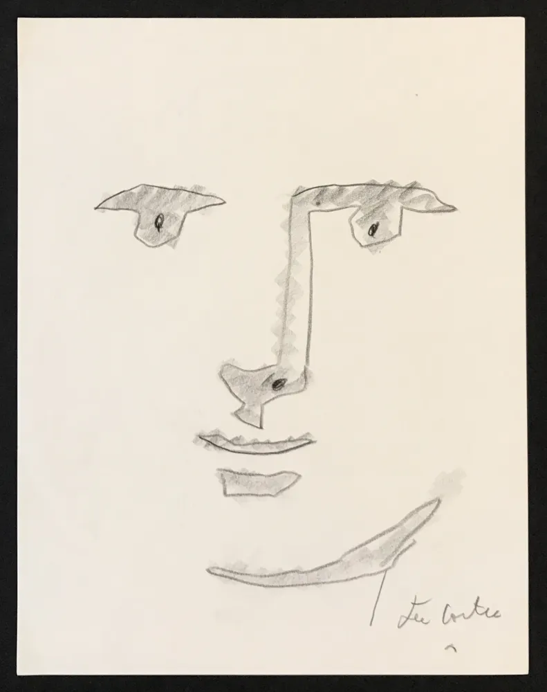 Geen Techniek Cocteau - Male Portrait