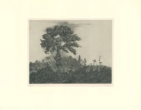 Gravure Coester - Einzelner Baum