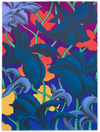 Lithografie Colombier - Look Up