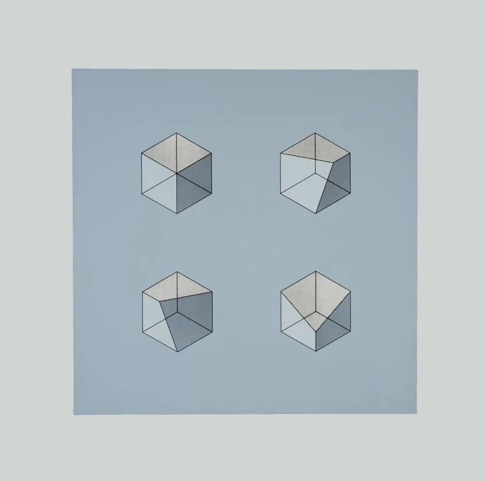 Zeefdruk Colombo - Composizione