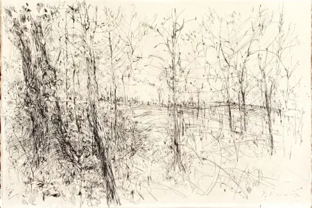 Ets Commère - A la lisière des bois