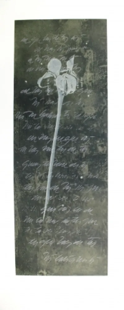 Ets En Aquatint Conte - El lenguaje de las flores I