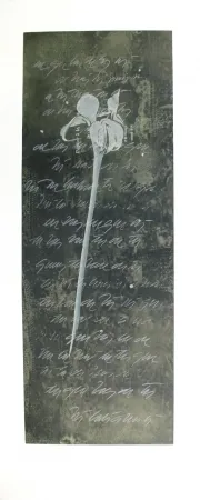 Ets En Aquatint Conte - El lenguaje de las flores I