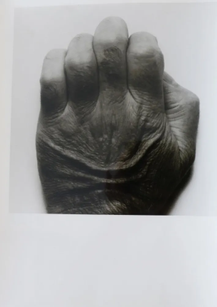 Fotografie Coplans - Selfportrait back of hand