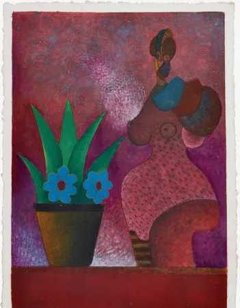 Geen Techniek Cora - La Jardinera