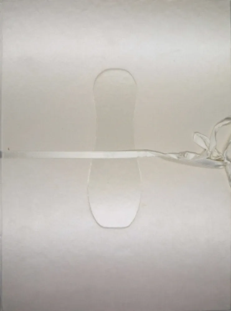 Geïllustreerd Boek Cormenzana - Pas de dansa