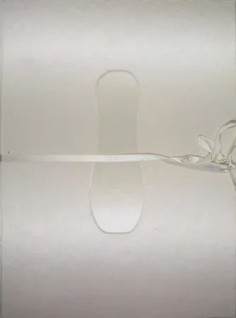 Geïllustreerd Boek Cormenzana - Pas de dansa