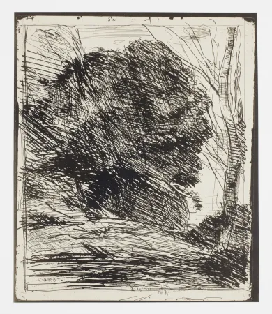 Geen Techniek Corot - Les Arbres dans la Montagne (Trees on the Mountain)