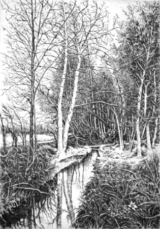 Ets Cotugno  - Autunno