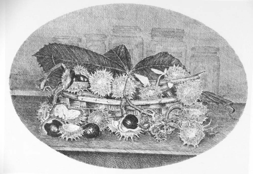 Ets Cotugno  - Cestino