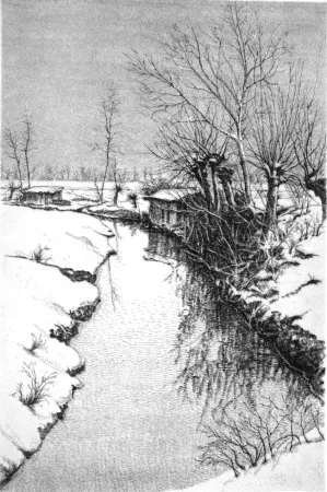 Ets Cotugno  - Il Sillaro