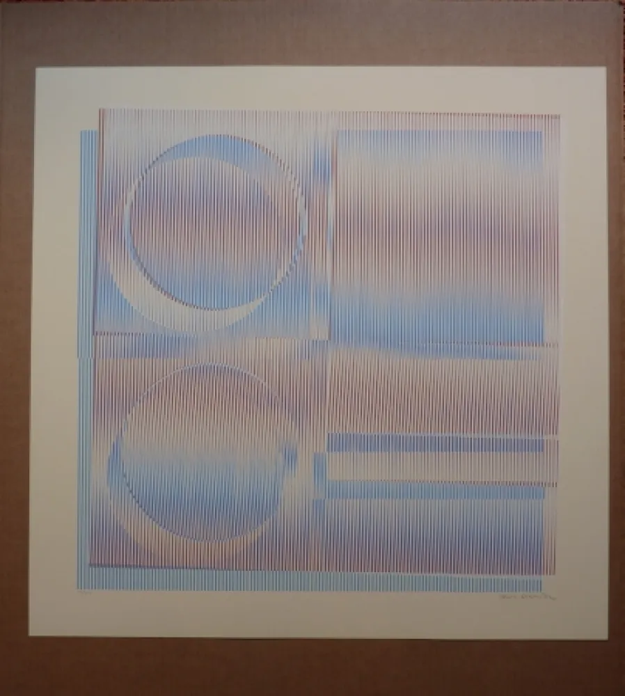 Zeefdruk Cruz-Diez - Physichromie